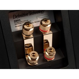 Definitive Technology Studio Monitor 65
