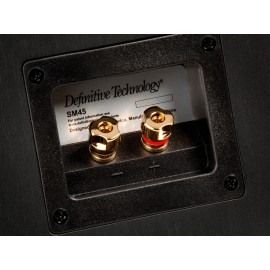 Definitive Technology Studio Monitor 45